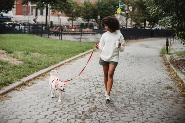 Employee taking a work break to walk her dog while working from home 2