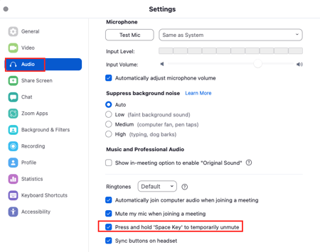 Zoom push to talk setting